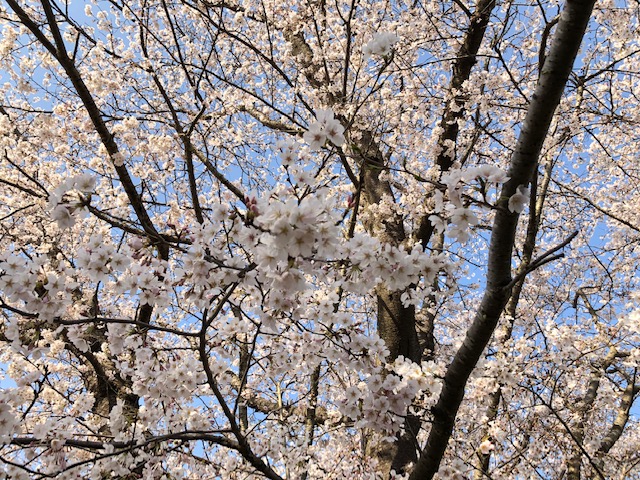 3月終わり